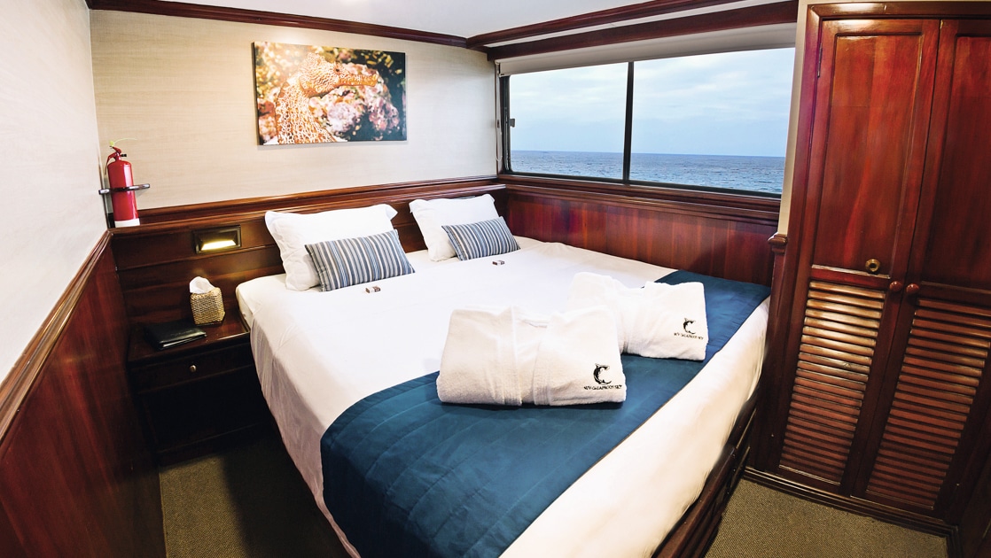 Master cabin with king bed on mv Galapagos Sky, with dark wood accents & closet, bedside table, carpet & view windows.
