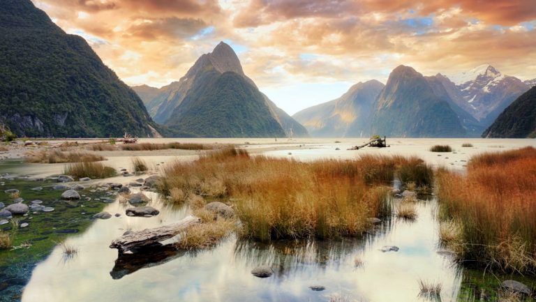 New Zealand's Mitre Peak sits in the distance at dusk with fiordland, grasses, stones & a tree trunk in the foreground.