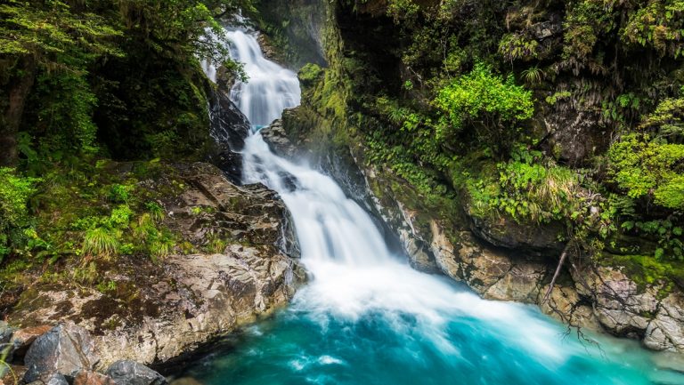 Long exposure of a waterfall flowing beside lush forest after heavy rain in New Zealand's Fiordland National Park.