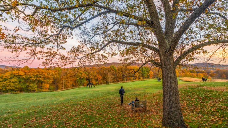 Travelers rest under a large tree atop a grassy knoll with colorful forest in the distance on a Hudson River fall foliage cruise.