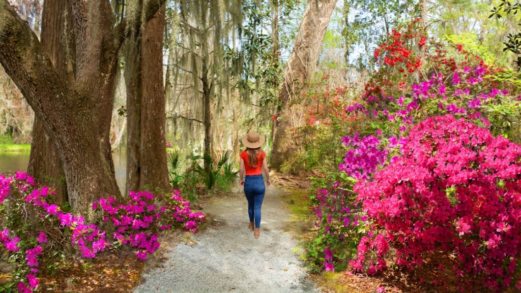 Girl in jeans, red shirt & tan hat walks alone under an oak tree in garden with Azaleas in bloom on a Low Country cruise.